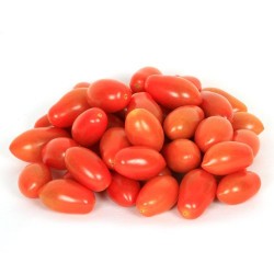 Plum Tomato